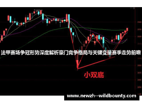 法甲赛场争冠形势深度解析豪门竞争格局与关键变量赛季走势前瞻